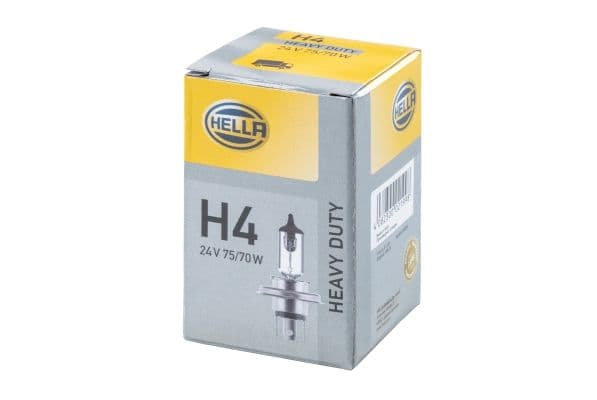 24V 100790W H4 AMPUL